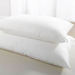 Microfibre Pillow 500X500