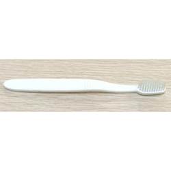 Cornstarch Toothbrush 500X500