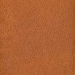 Hide Leather Swatch